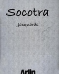  Socotra